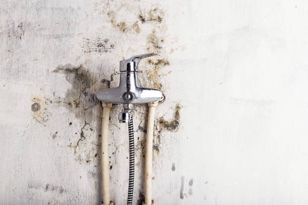 Best Residential Mold Removal  in Crosbyton, TX