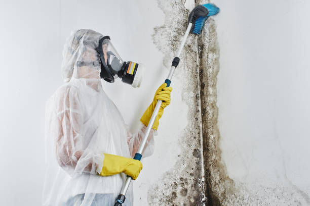 Water Damage Restoration in Crosbyton, TX