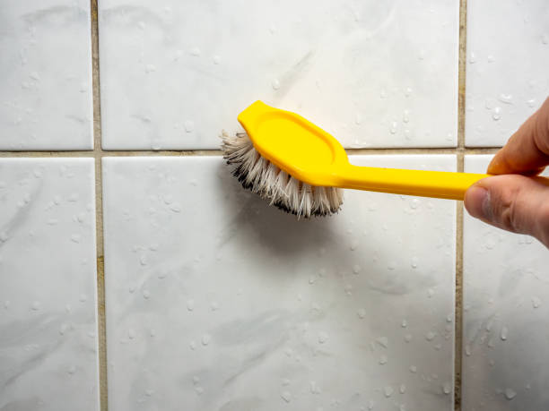 Best Toxic Mold Removal  in Crosbyton, TX