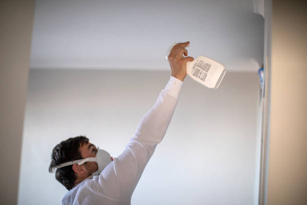 Best Mold Removal Near Me  in Crosbyton, TX