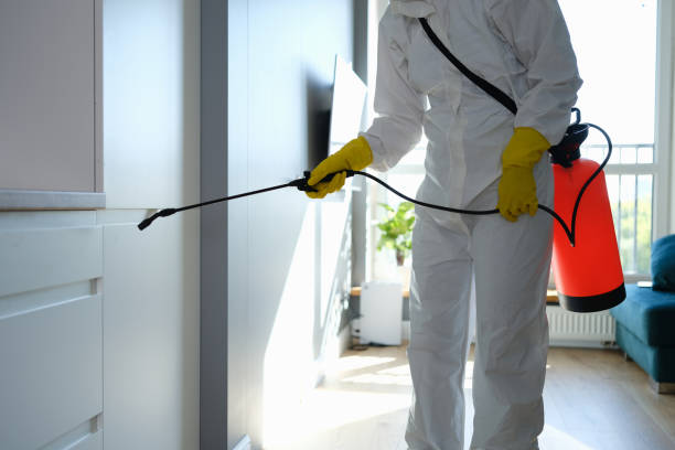 Reliable Crosbyton, TX Mold Removal Solutions