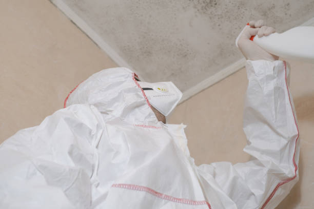 Best Home Mold Removal  in Crosbyton, TX