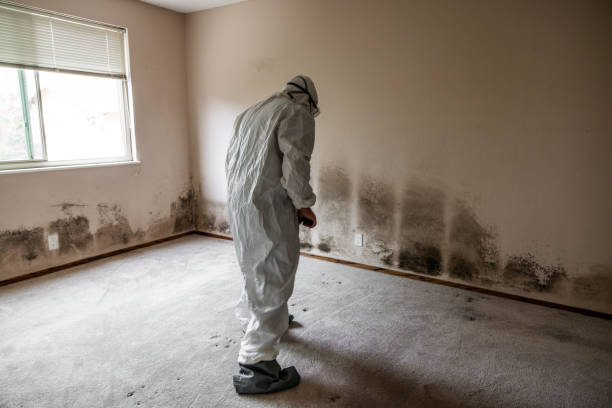 Best Mold Remediation  in Crosbyton, TX